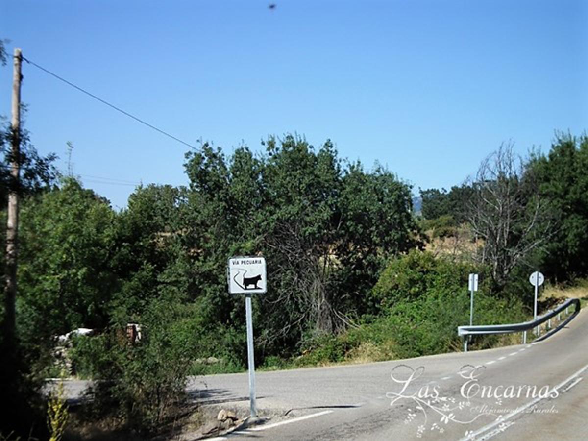 Las Encarnas Braojos de la Sierra Eksteriør billede